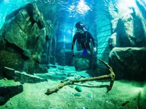 Dive Academy - Scuba Diving School