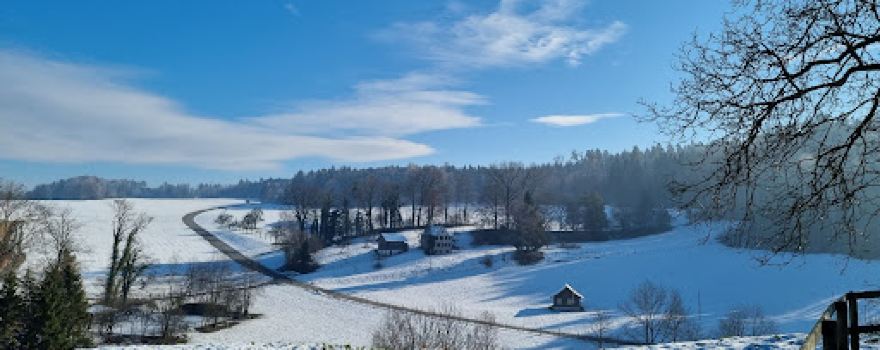 Ruine Anwil