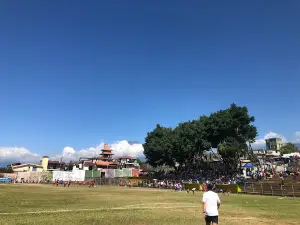 Estadio Mario Mendez Montenegro