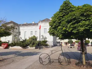 Rynek w Miliczu