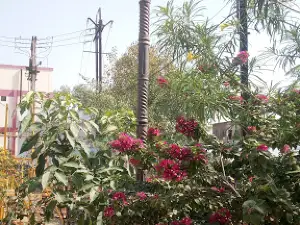Park Kannod Rod Ashta