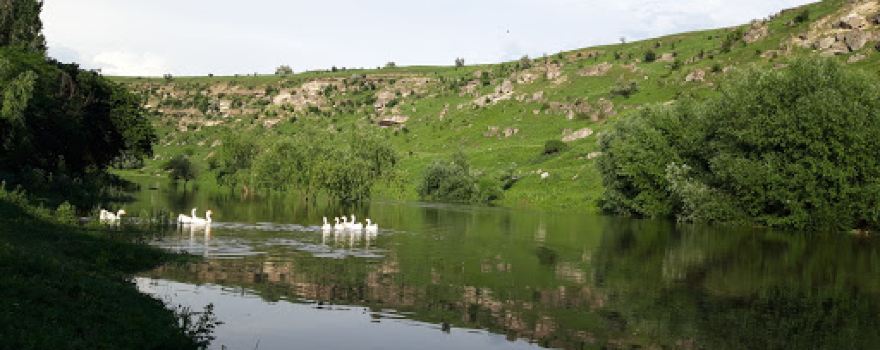 Stadion Roşietici