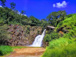 Black River Waterfall