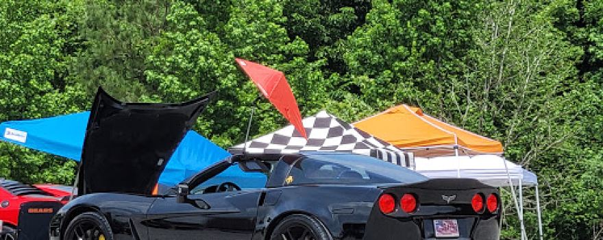 Birdsong Drive-In Theater