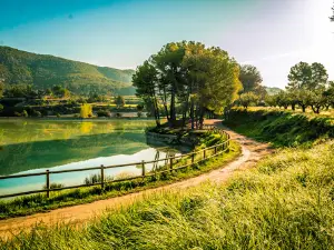 Embalse del Bosquet
