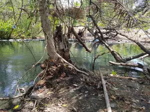 Hot Springs