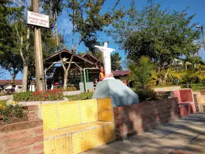 Timothy From the park