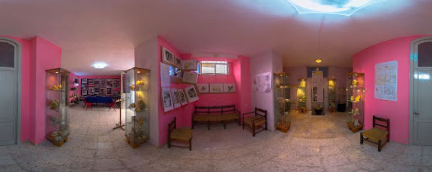 Museo di Storia Naturale