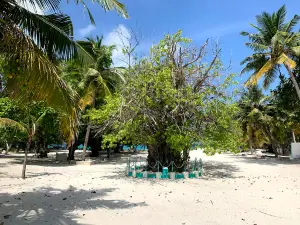 Utheemu Gan'duvaru