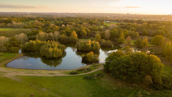 Mitcham