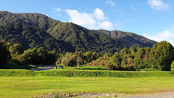 Kahikatea Forest Walk