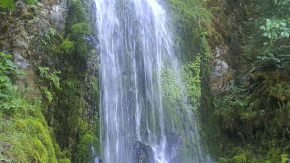 Starvation Creek Falls