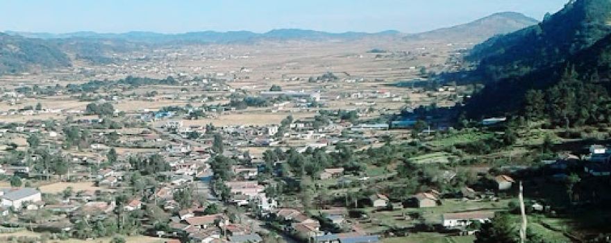 Los dos pinos