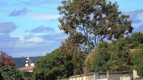 Estádio Municipal José Adalberto Rodrigues de Oliveira (Caroção)
