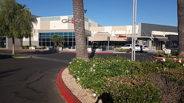 GB3 Palm- George Brown Sports Club