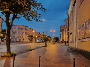 M. Kotsiubynsky Cinema