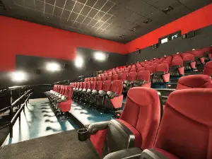 Viki Sinema