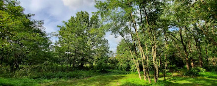 West Avenue Nature Trails
