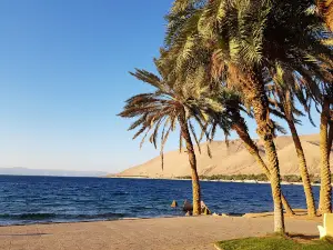Palm Park Saudi Arabia