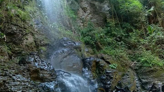Sítio Paraíso Feliz