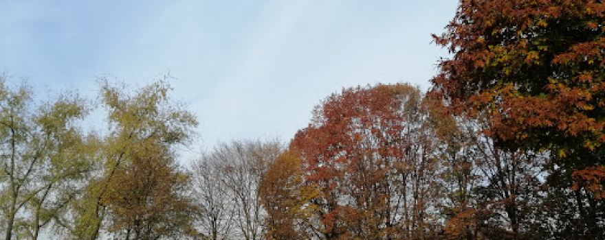 Parco Strettone