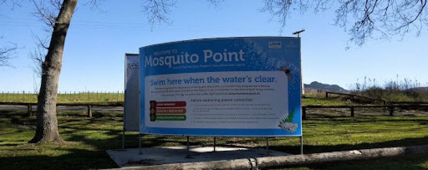 Mosquito Point