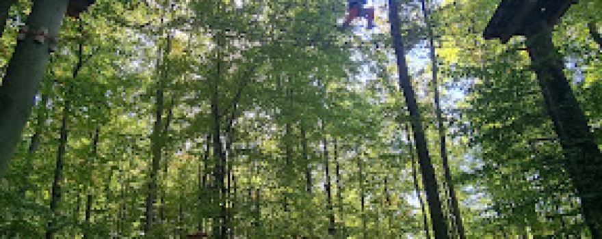 Kletterwald Bretten