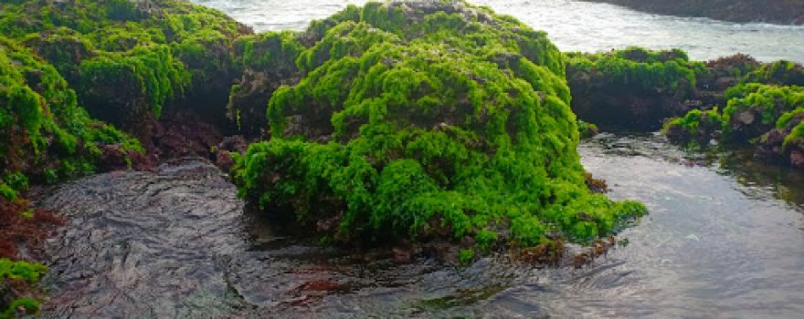 Pantai Batukukumbung
