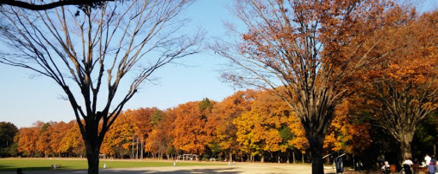 Horikane Kamiakasaka Park