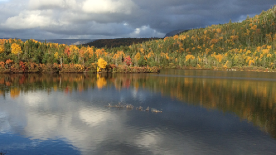 Gros Morne / Norris Point KOA Holiday