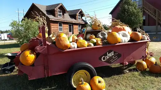 Applejack Pumpkin Patch