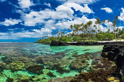 Taumeasina Island