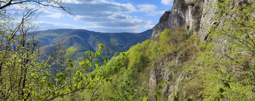 Cascada Cociului (Roșeț)