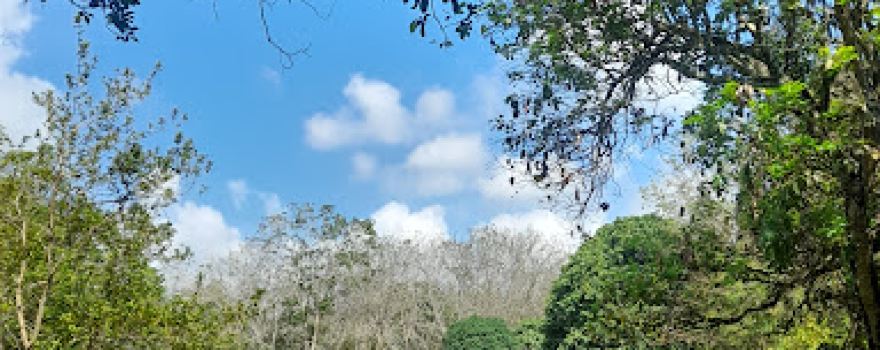 Candi Pematang Jering