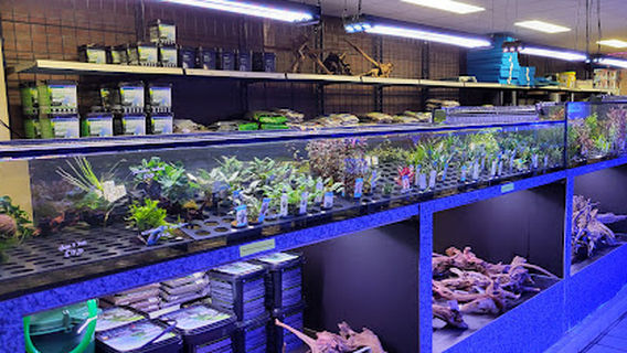 Aquariumhandel W.C.T. Brouwers B.V.