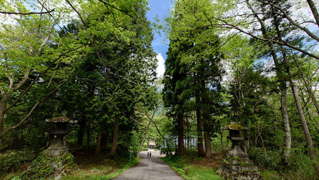 Togakushi Shrine Okusha (Main Shrine) The Great Torii Gate