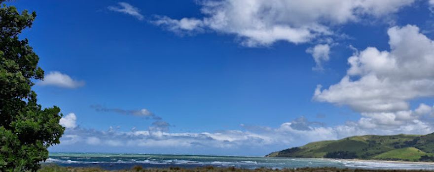 Te Tapuwae o Rongokako Marine Reserve