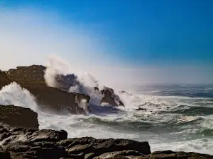 Boiler Bay State Scenic Viewpoint