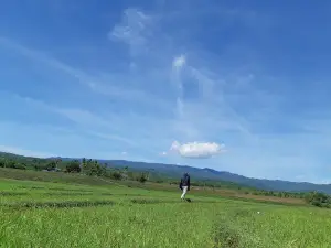 Lapangan Sepak Bola Arokke