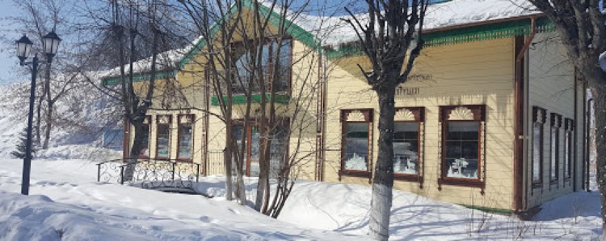 Gallery tourist's dream Dmitrov Frog Museum