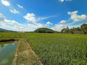 Bukit Tugu Bayas