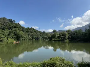 Lan Nà Nưa
