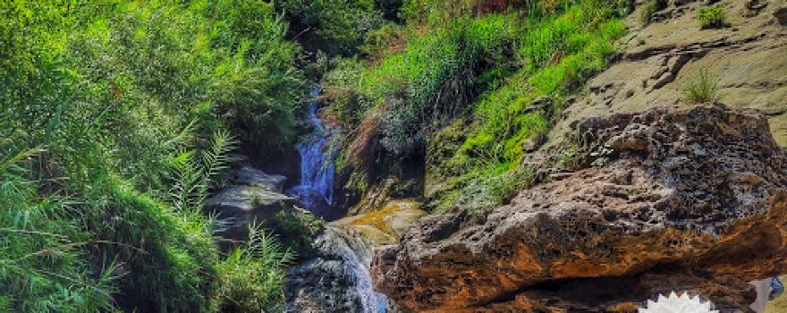 Kanhatti Garden Water Stream