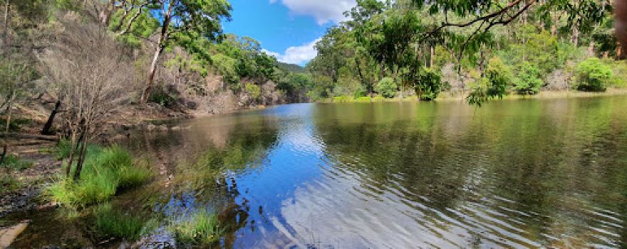Lake Eckersley picnic area