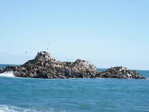 Costanera Cobquecura Park