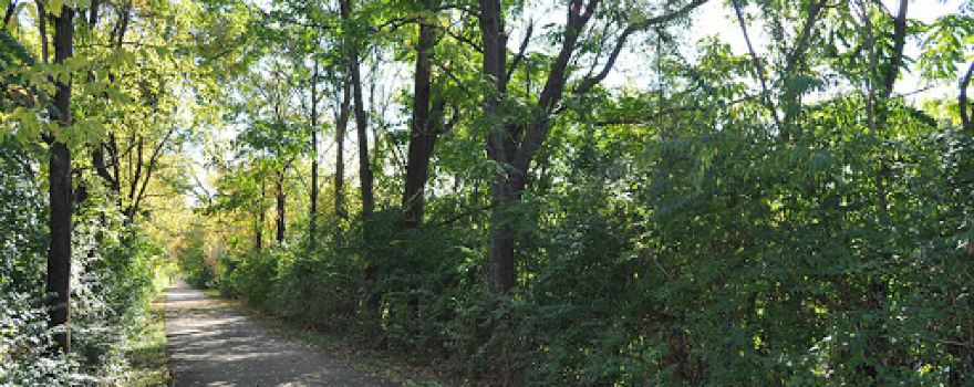 Old Plank Road Trail - Park Road Access