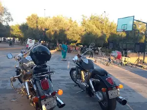 Plaza de los Olivos