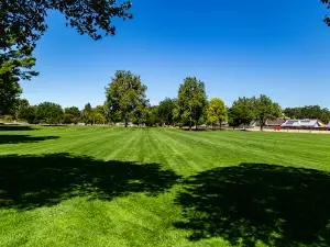 Paloma Creek Park