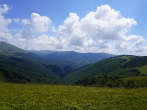 Tabere Straja