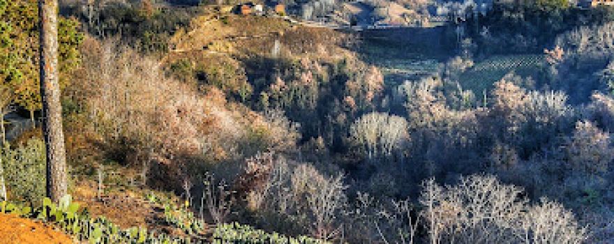 Giardino Botanico Esotico Di Doro